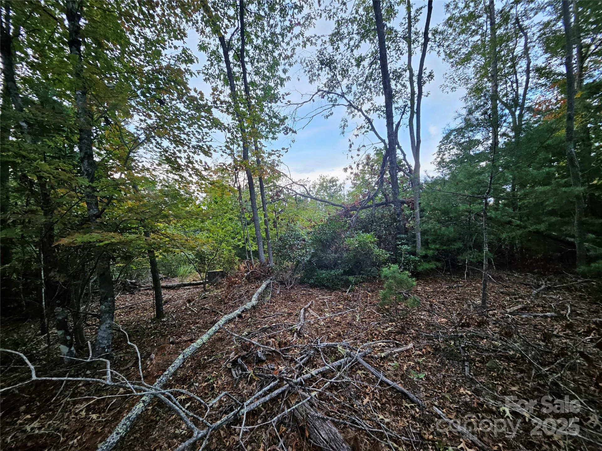 000 Double Island Road - Photo 27