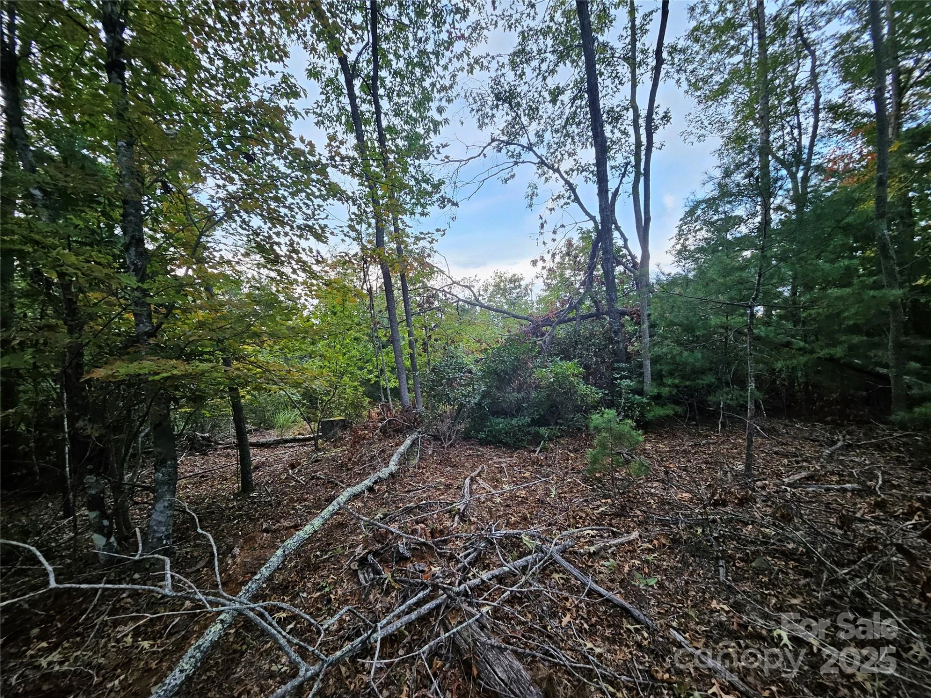 000 Double Island Road - Photo 27