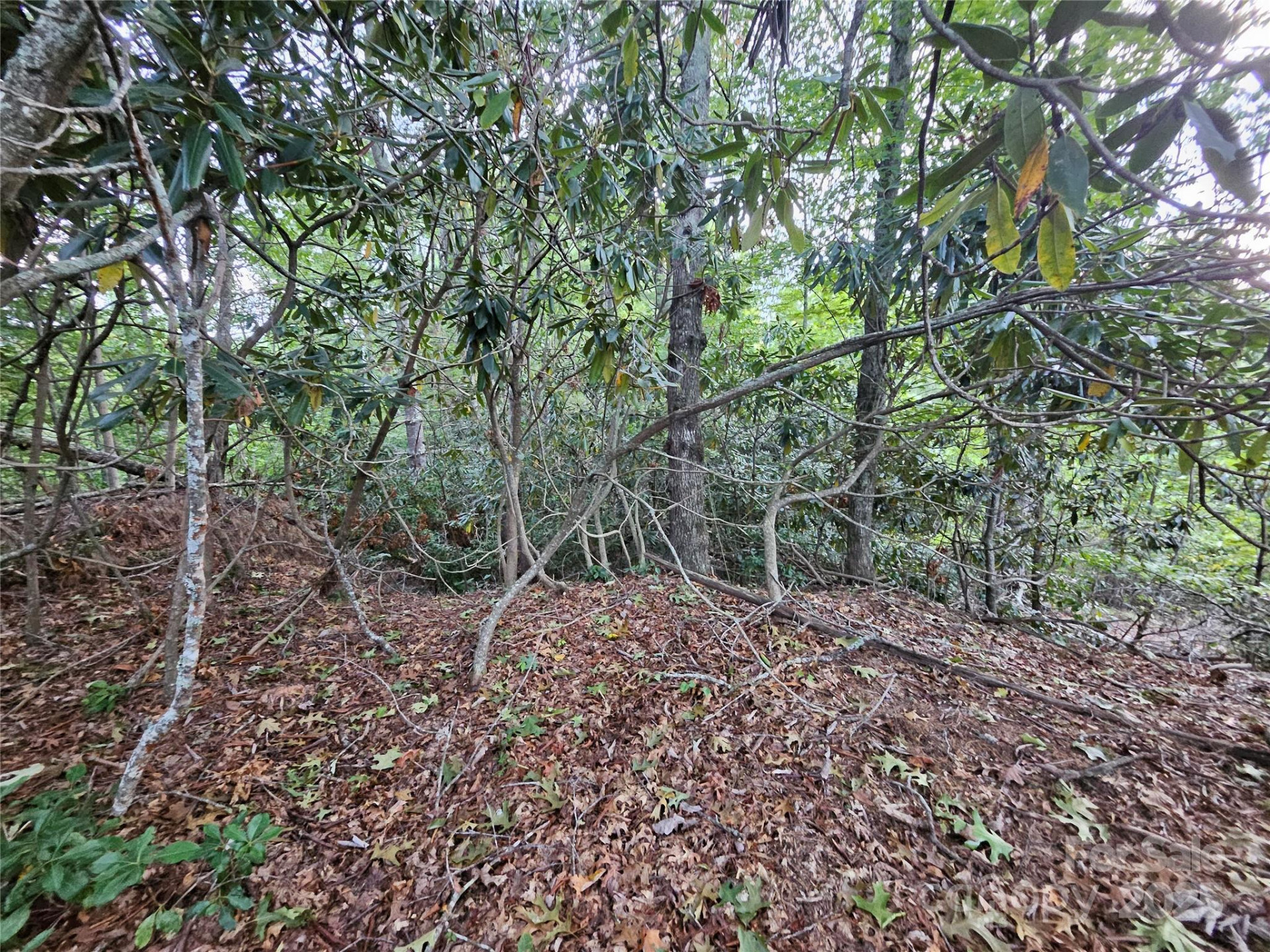 000 Double Island Road - Photo 28