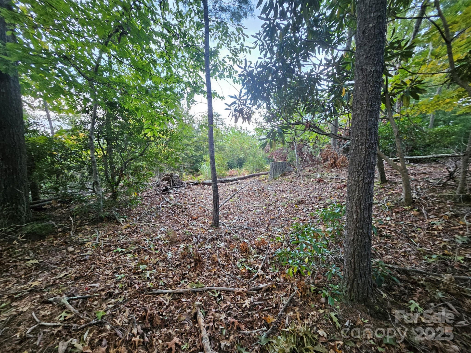 000 Double Island Road - Photo 29