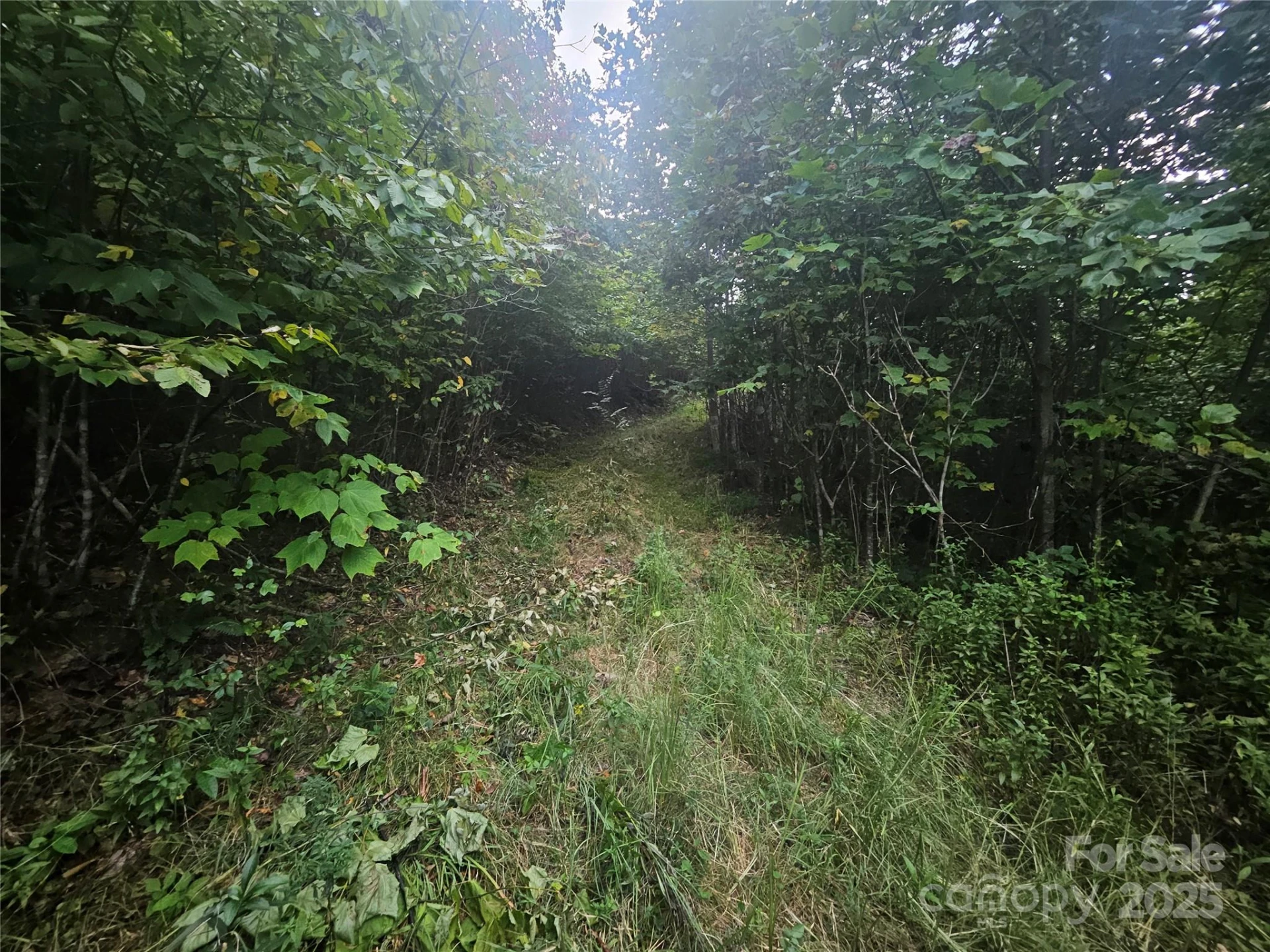 000 Double Island Road - Photo 4