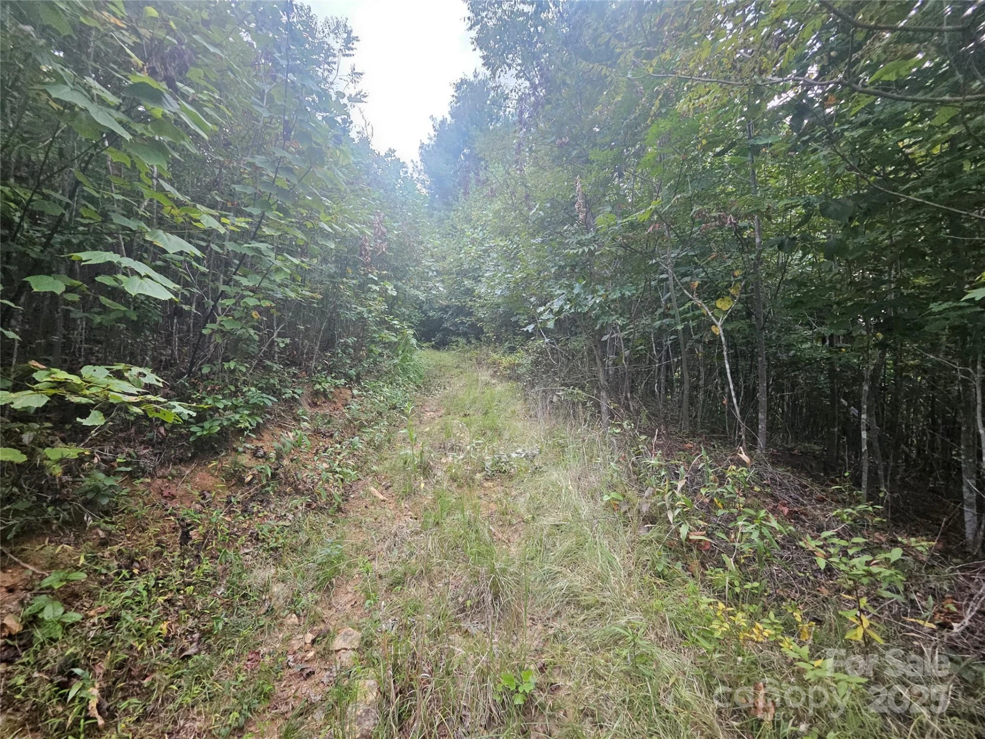 000 Double Island Road - Photo 5