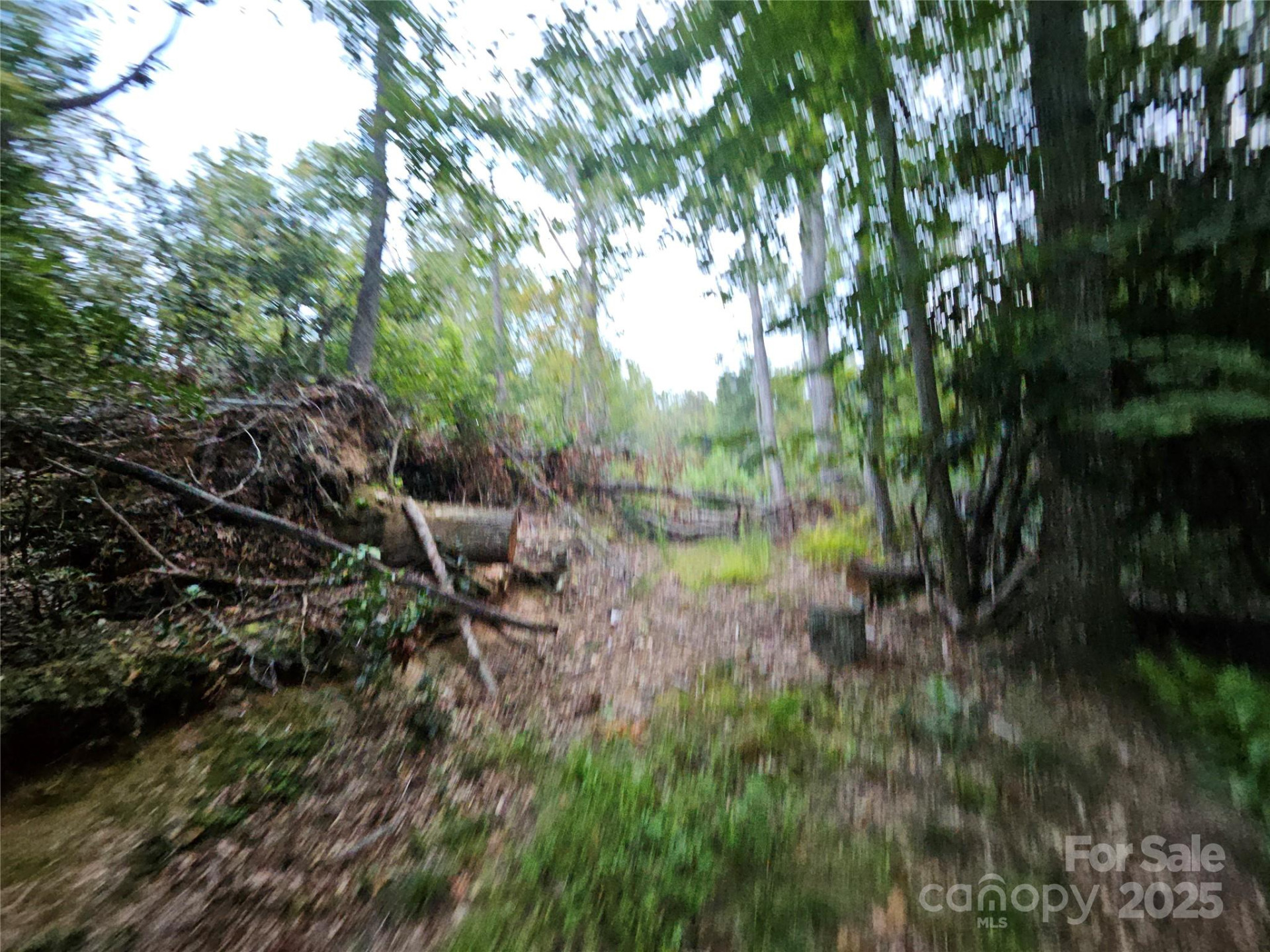 000 Double Island Road - Photo 6