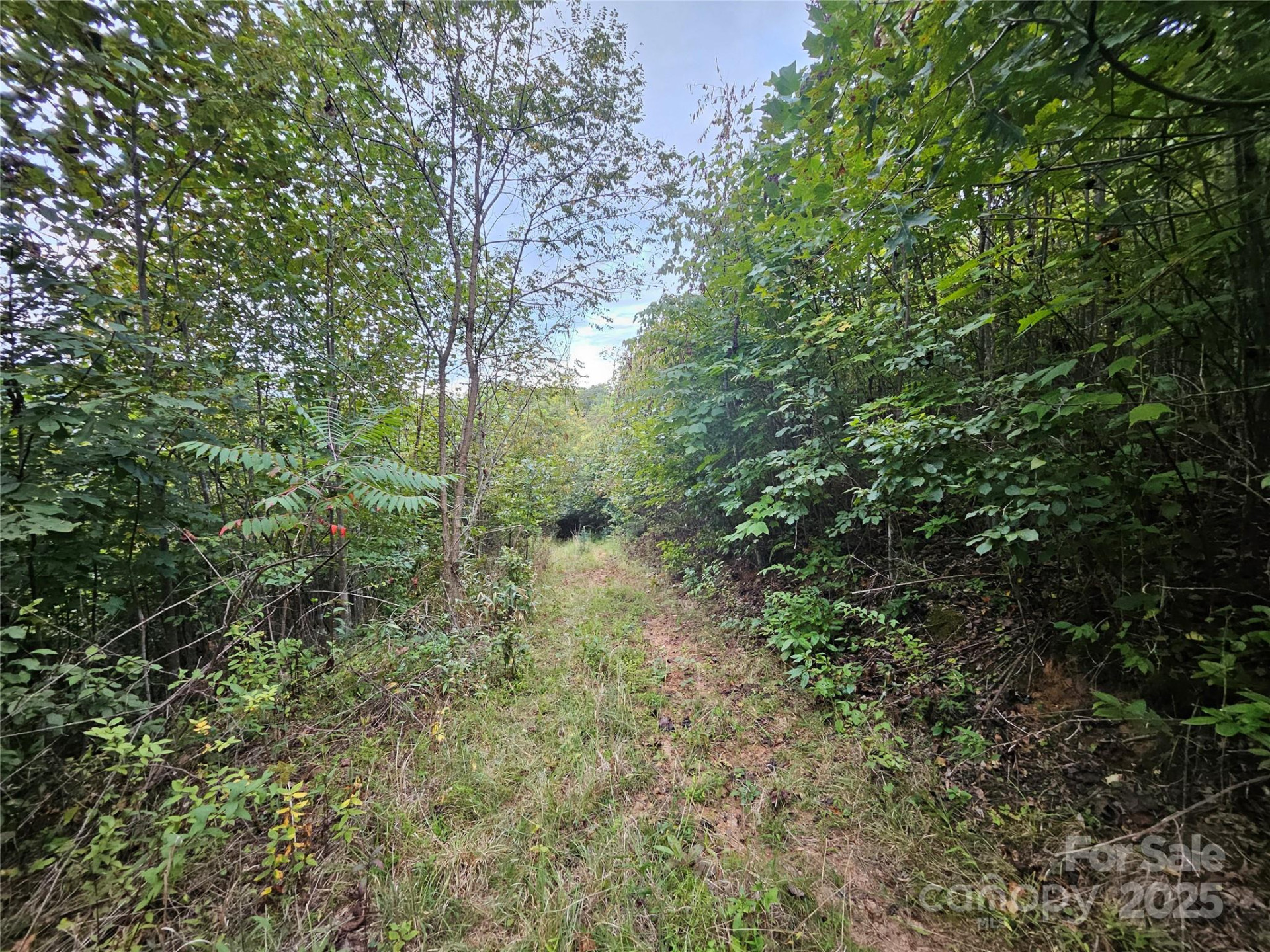 000 Double Island Road - Photo 7