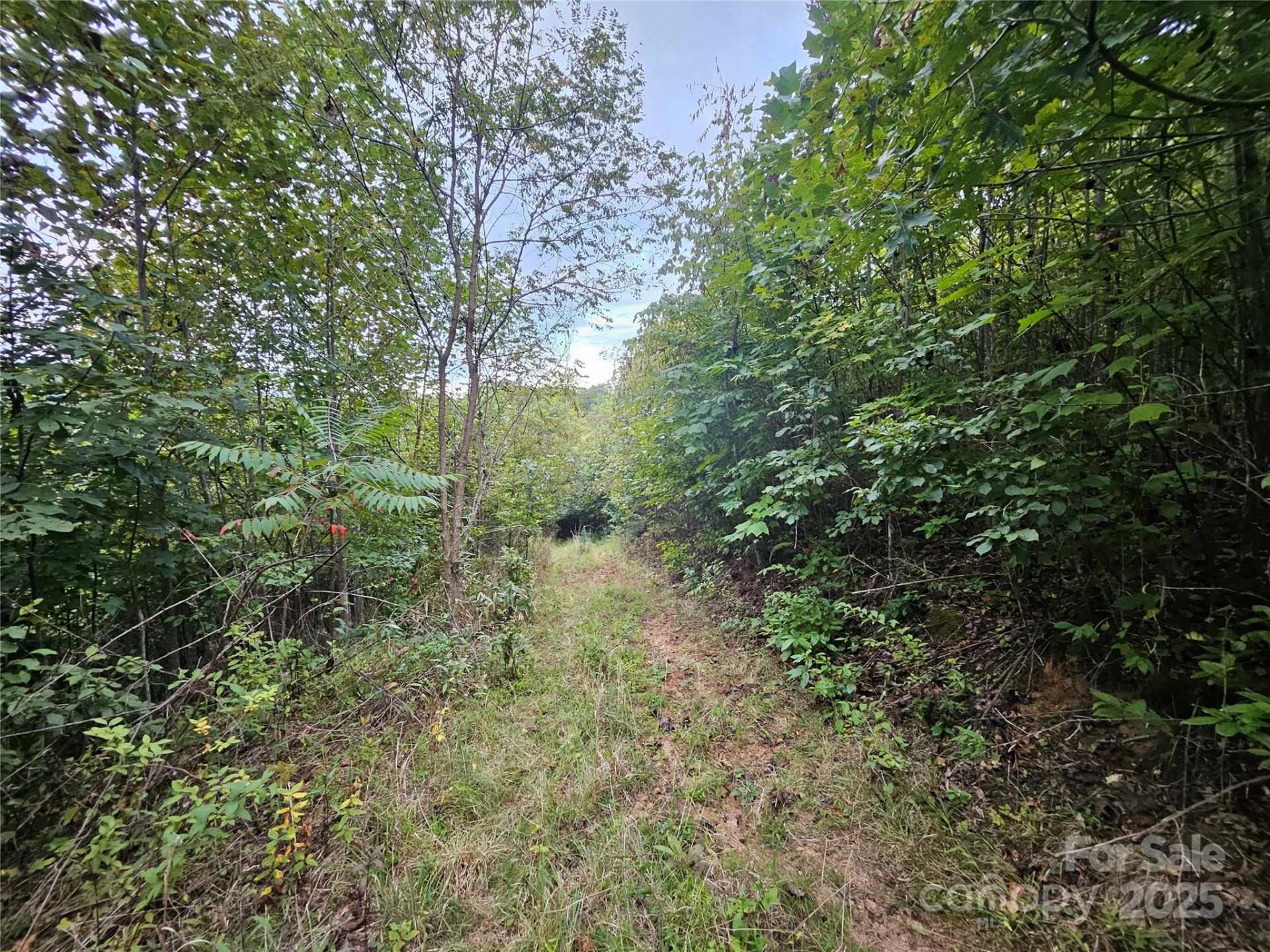 000 Double Island Road - Photo 7
