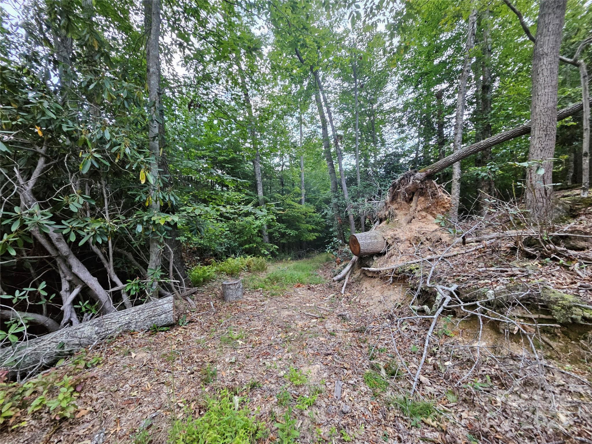 000 Double Island Road - Photo 8