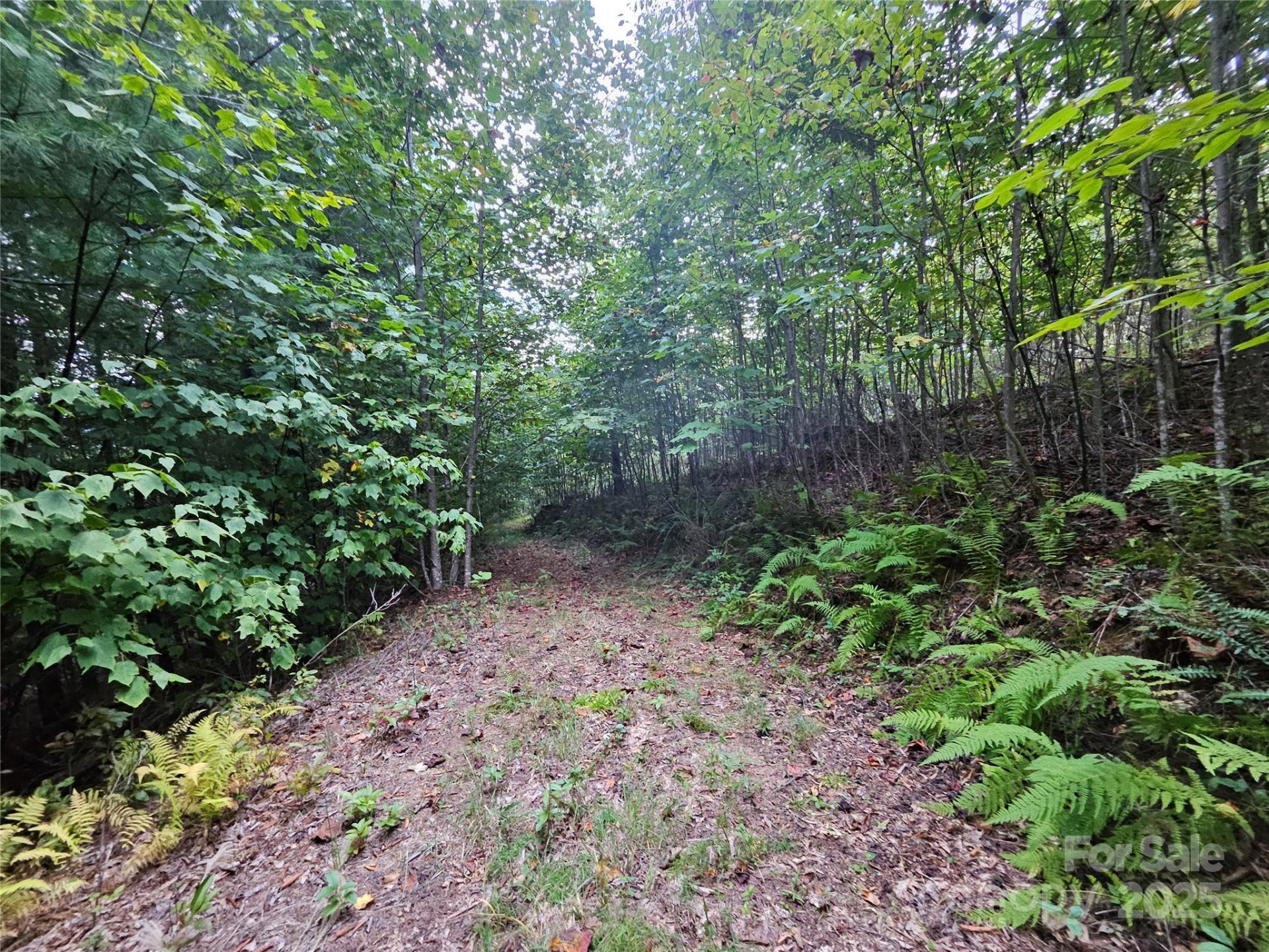 000 Double Island Road - Photo 9