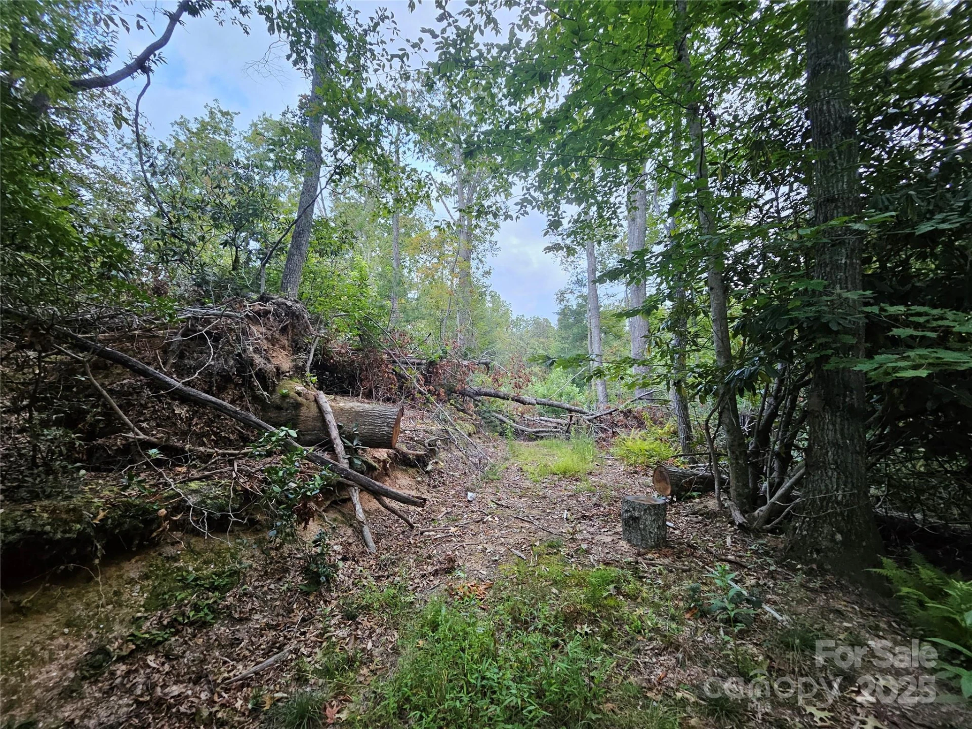 000 Double Island Road - Photo 10