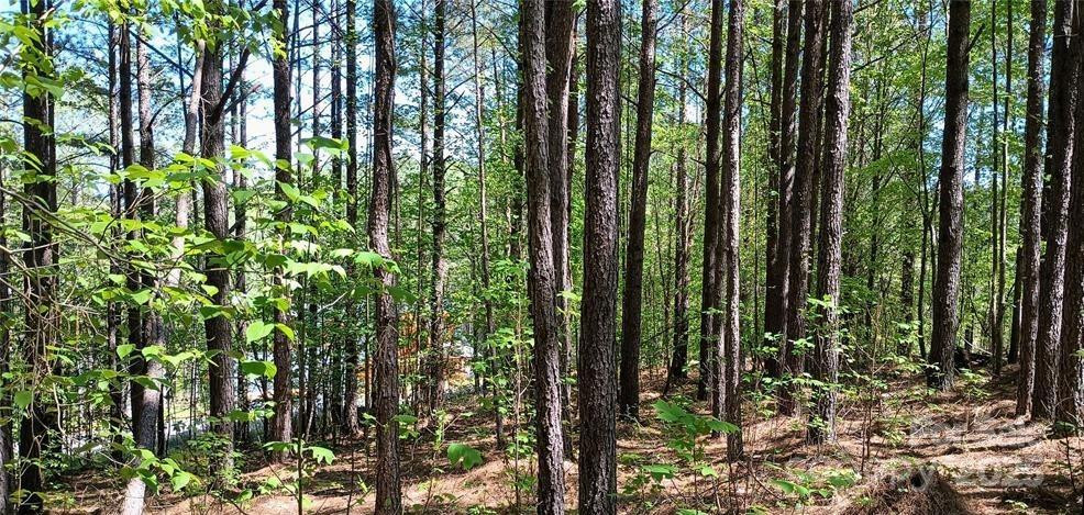 158 Table Rock Trace - Photo 11