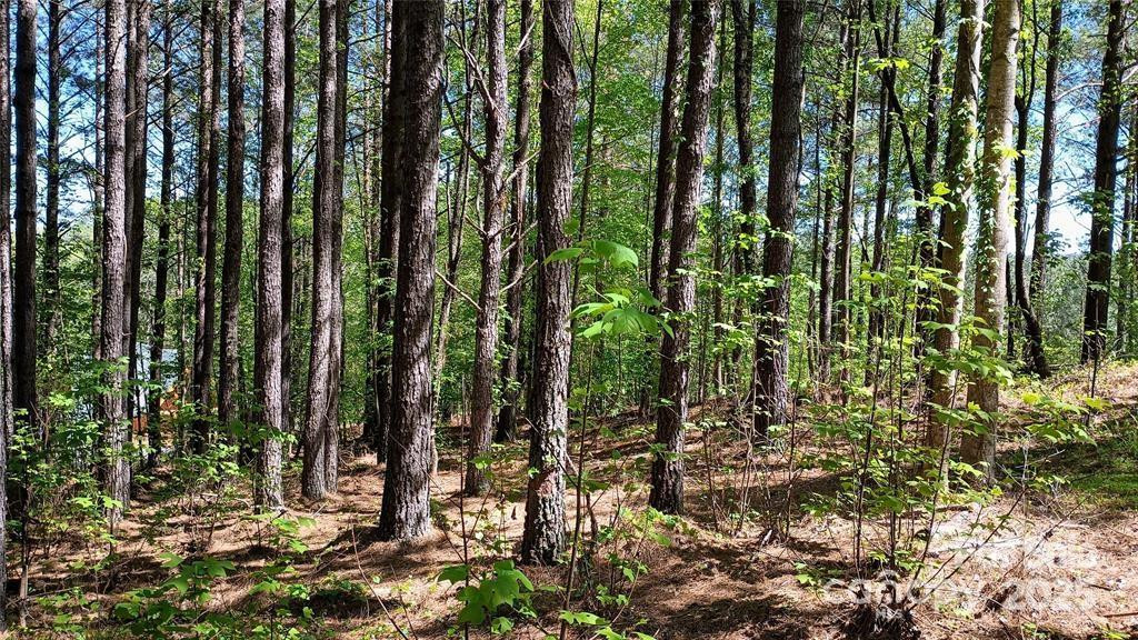 158 Table Rock Trace - Photo 12