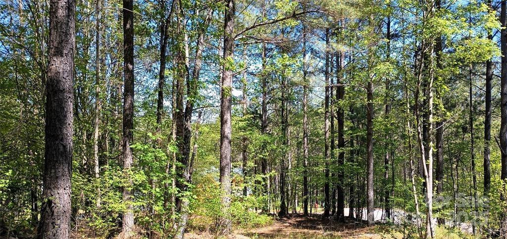 158 Table Rock Trace - Photo 13