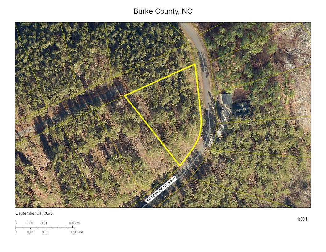 158 Table Rock Trace - Photo 14