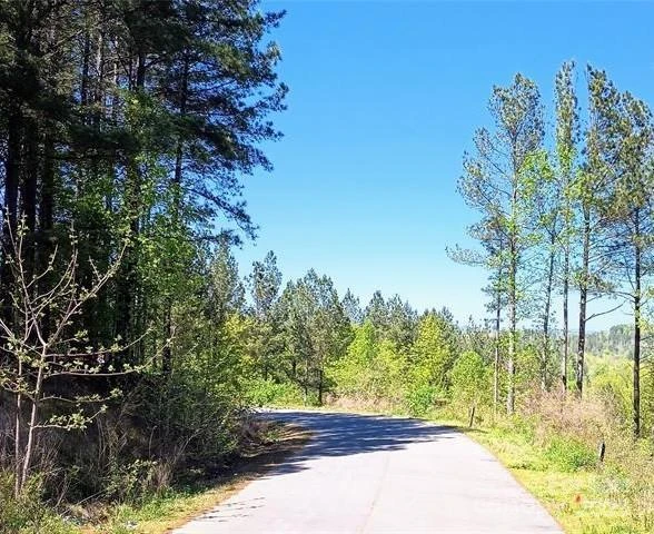 158 Table Rock Trace - Photo 6