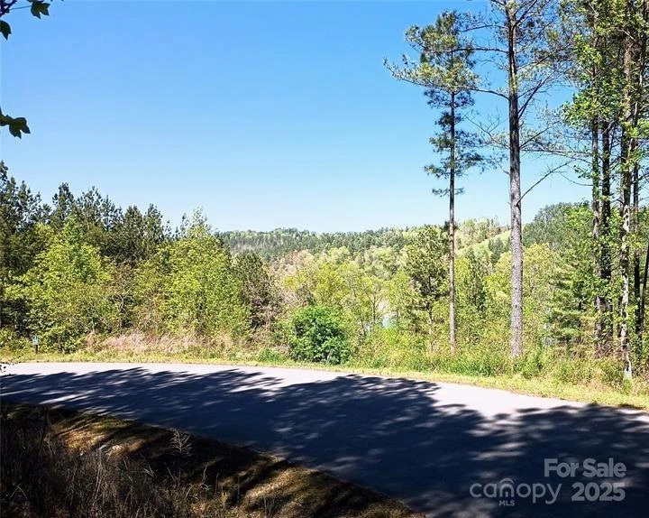 158 Table Rock Trace - Photo 7