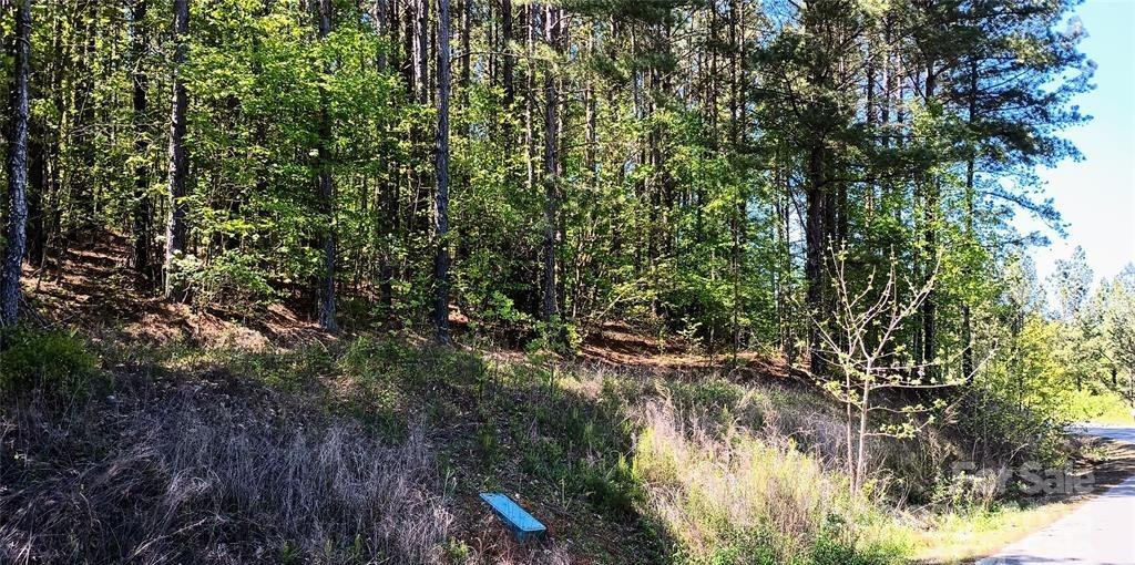 158 Table Rock Trace - Photo 8