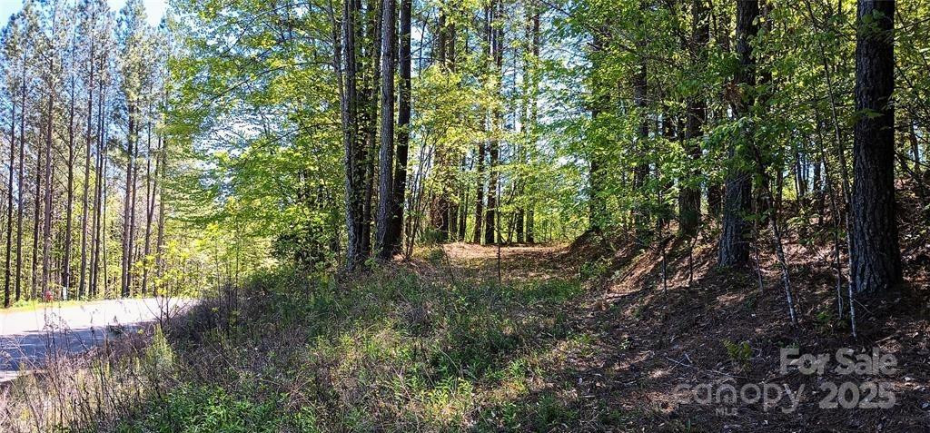 158 Table Rock Trace - Photo 9