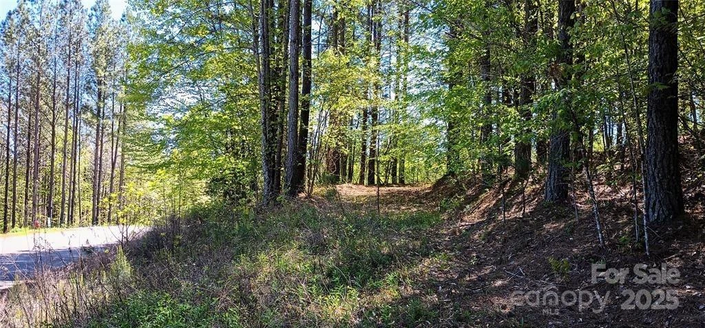 158 Table Rock Trace - Photo 9