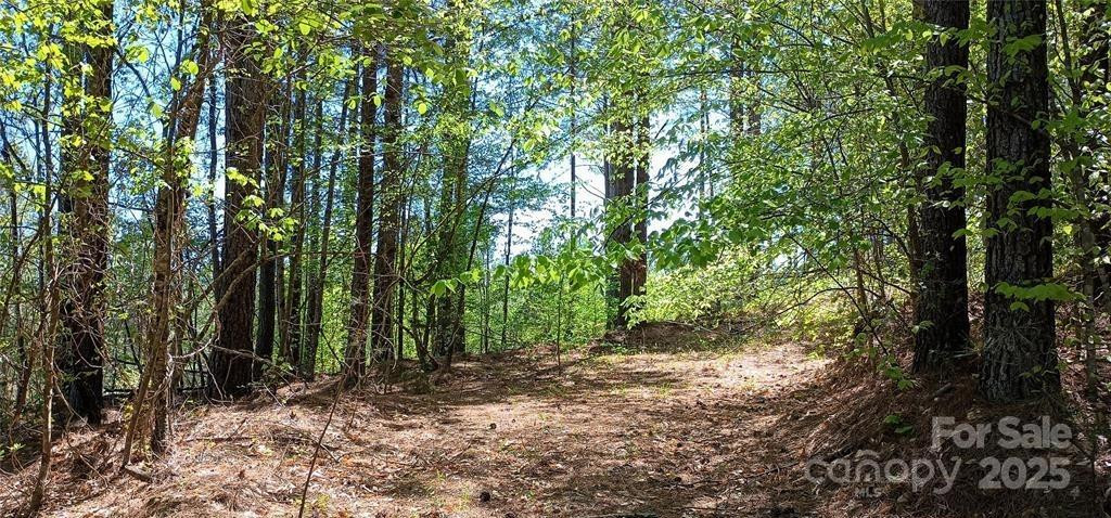 158 Table Rock Trace - Photo 10