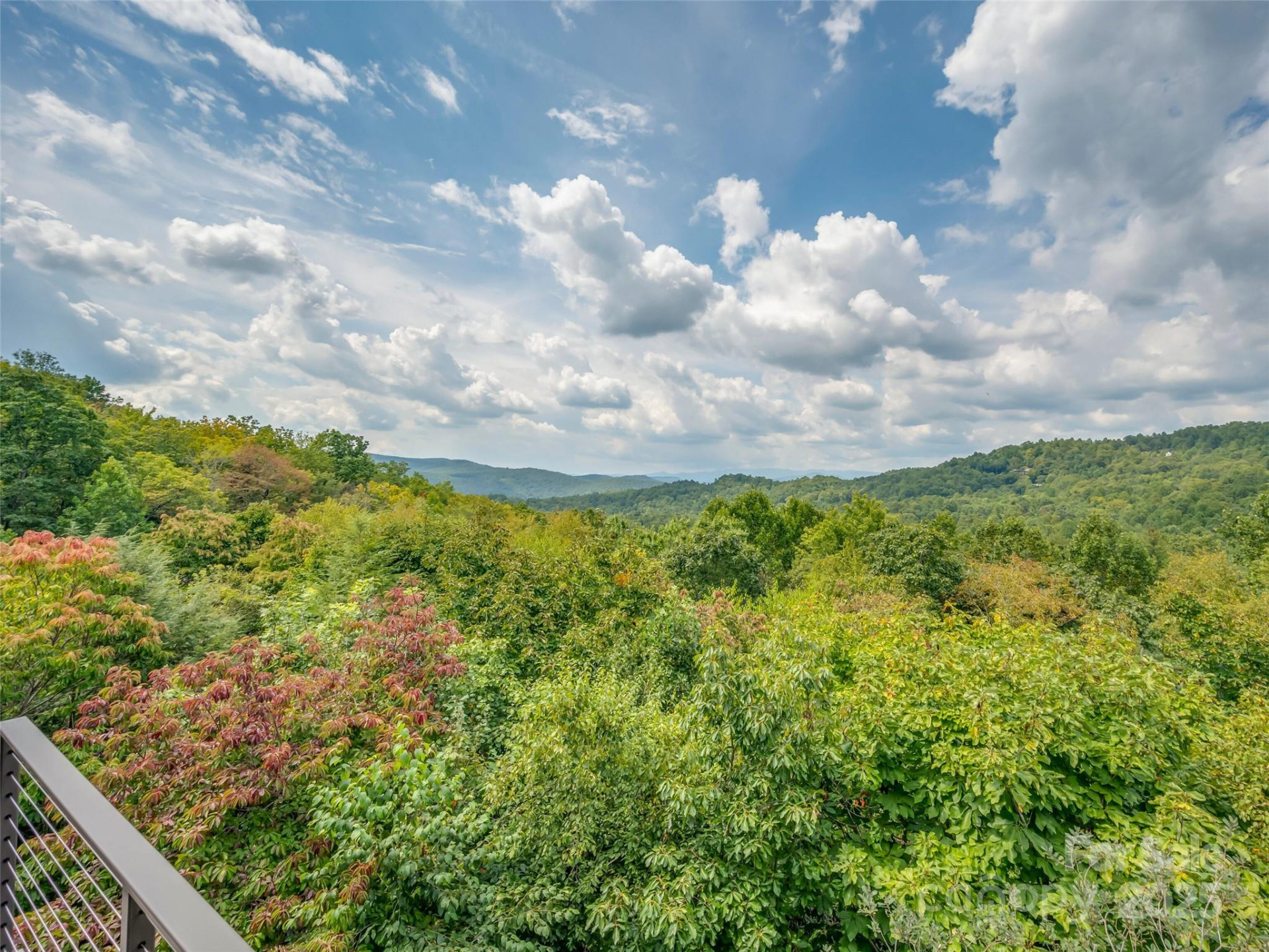 18 Wild Ivy Run - Photo 18