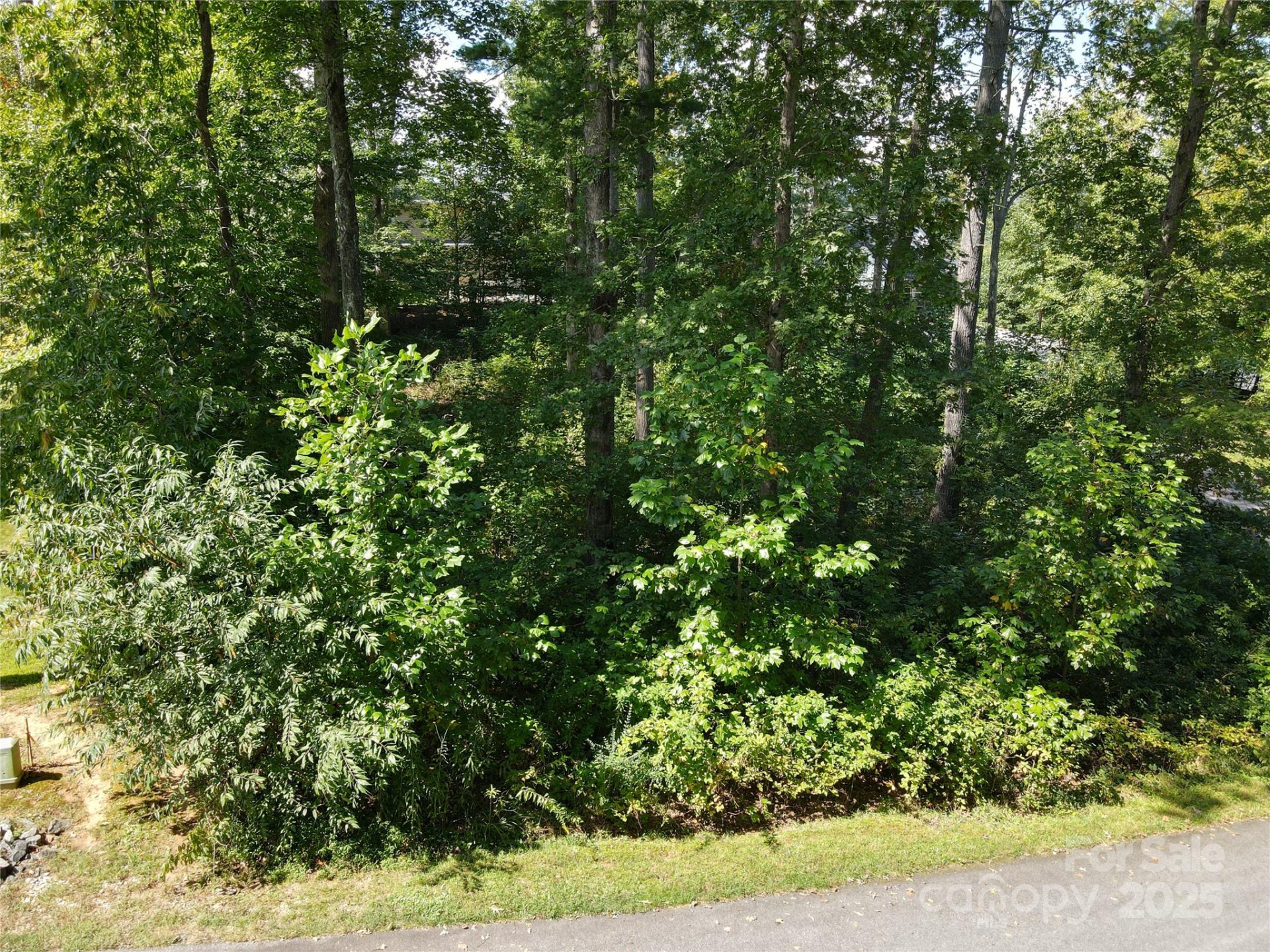 89 Hamilton Woods Lane - Photo 7