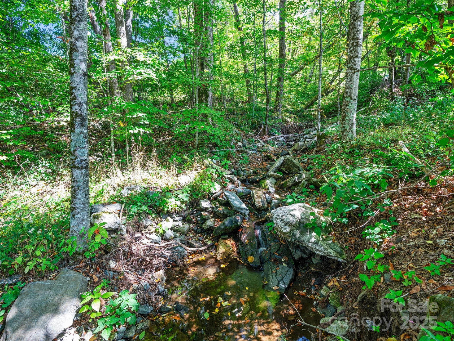 1992 Green Creek Road - Photo 41