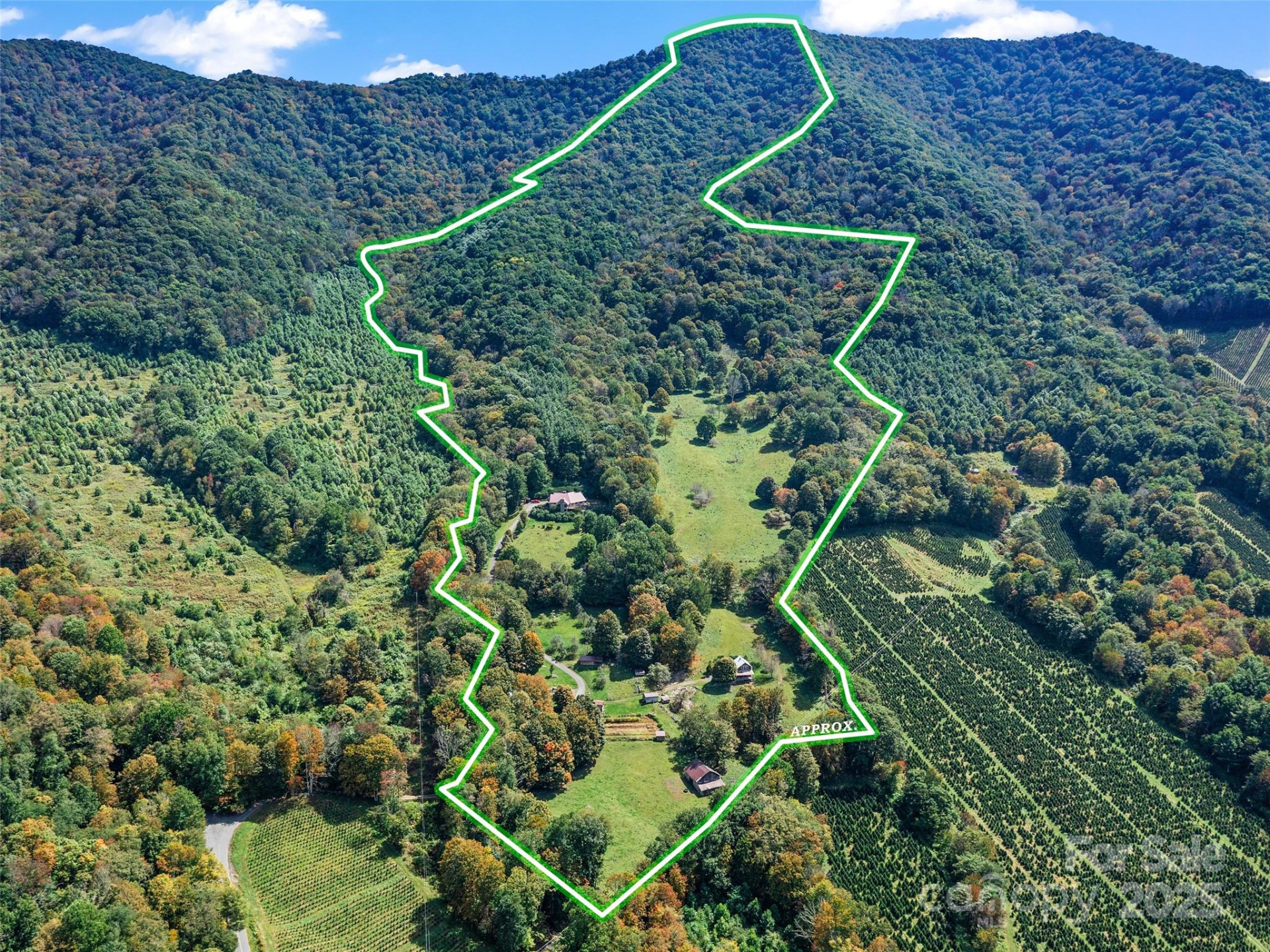 1992 Green Creek Road - Photo 45