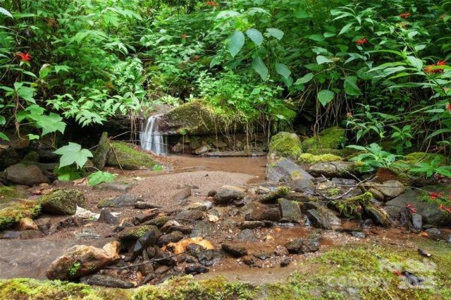 15 Mountain Mint Drive, Swannanoa, NC, 28778