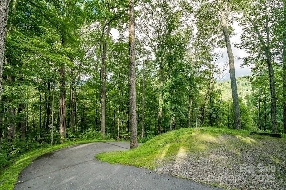 70 Double Back Lane - Photo 29