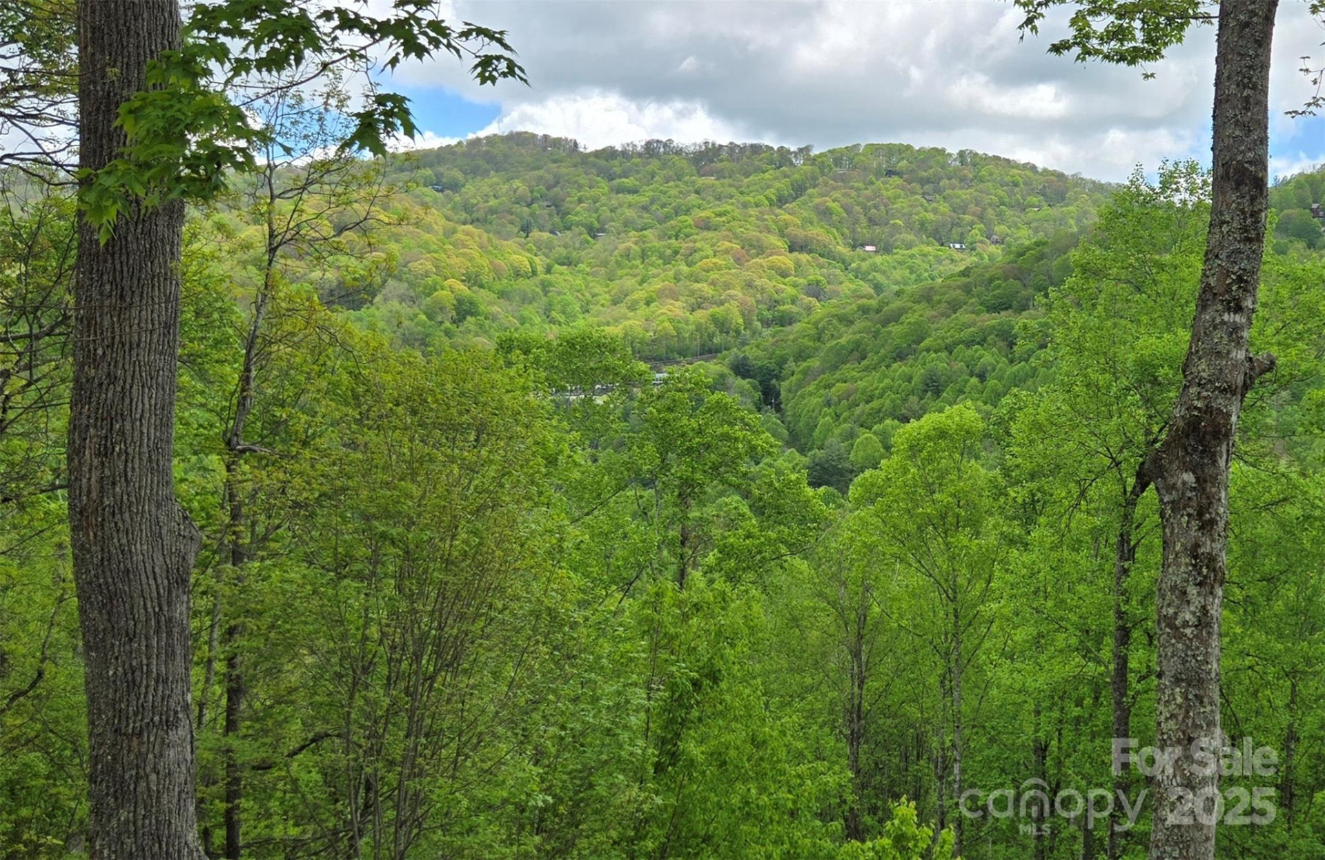 70 Double Back Lane - Photo 34