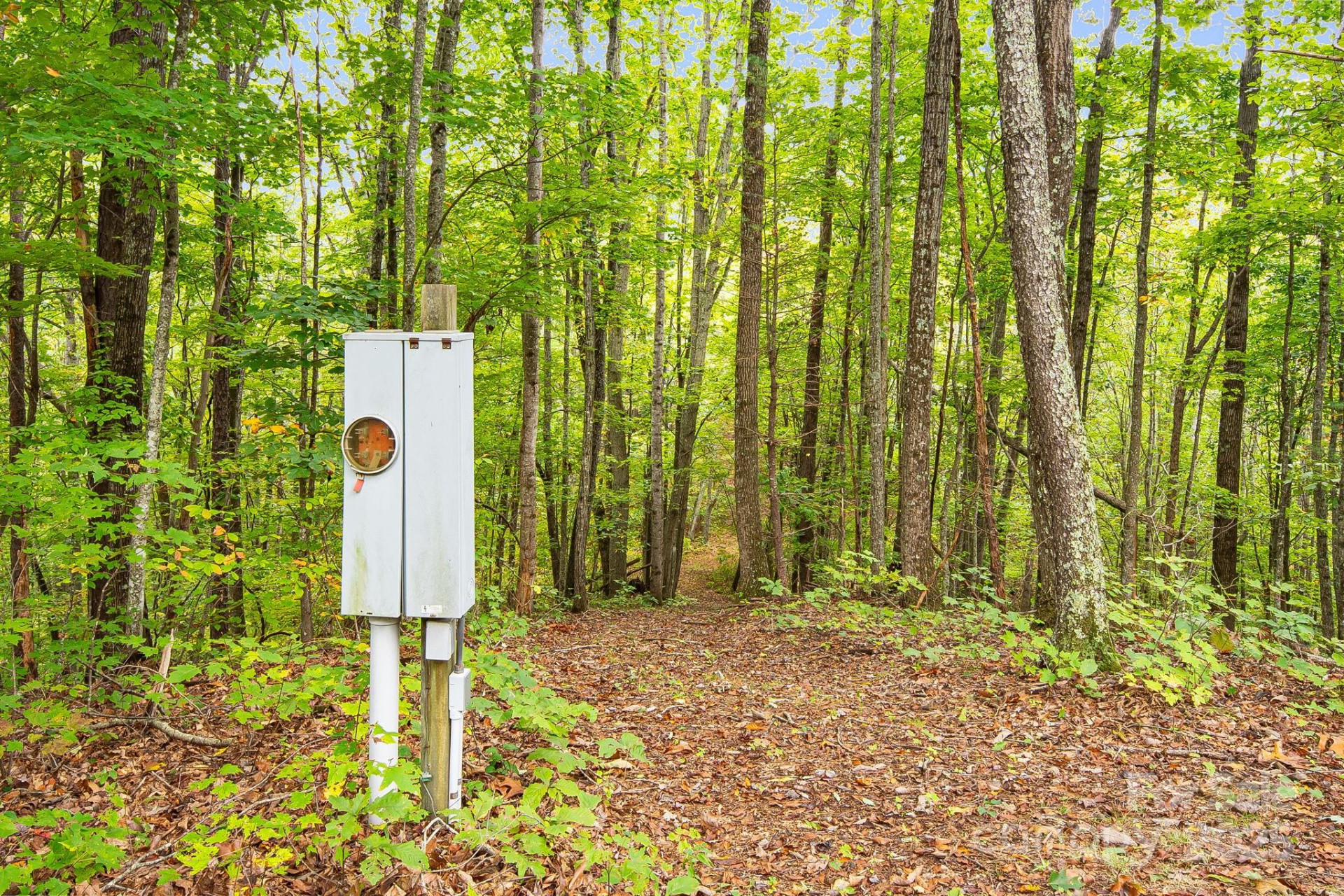 99999 Hidden Cove Road - Photo 21