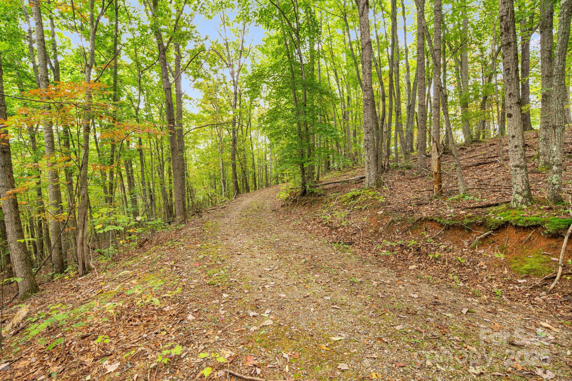 99999 Hidden Cove Road - Photo 22