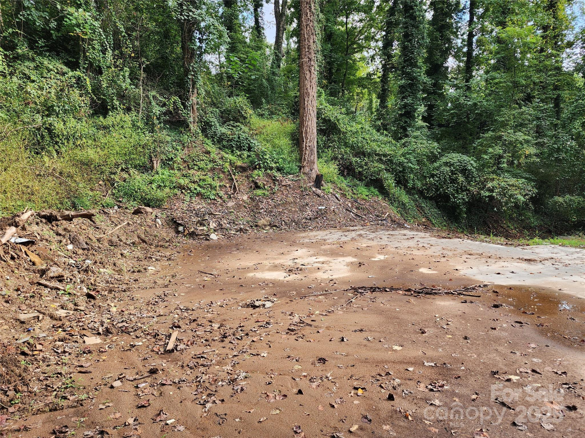 9999 Azalea Court #3,4,6 - Photo 5