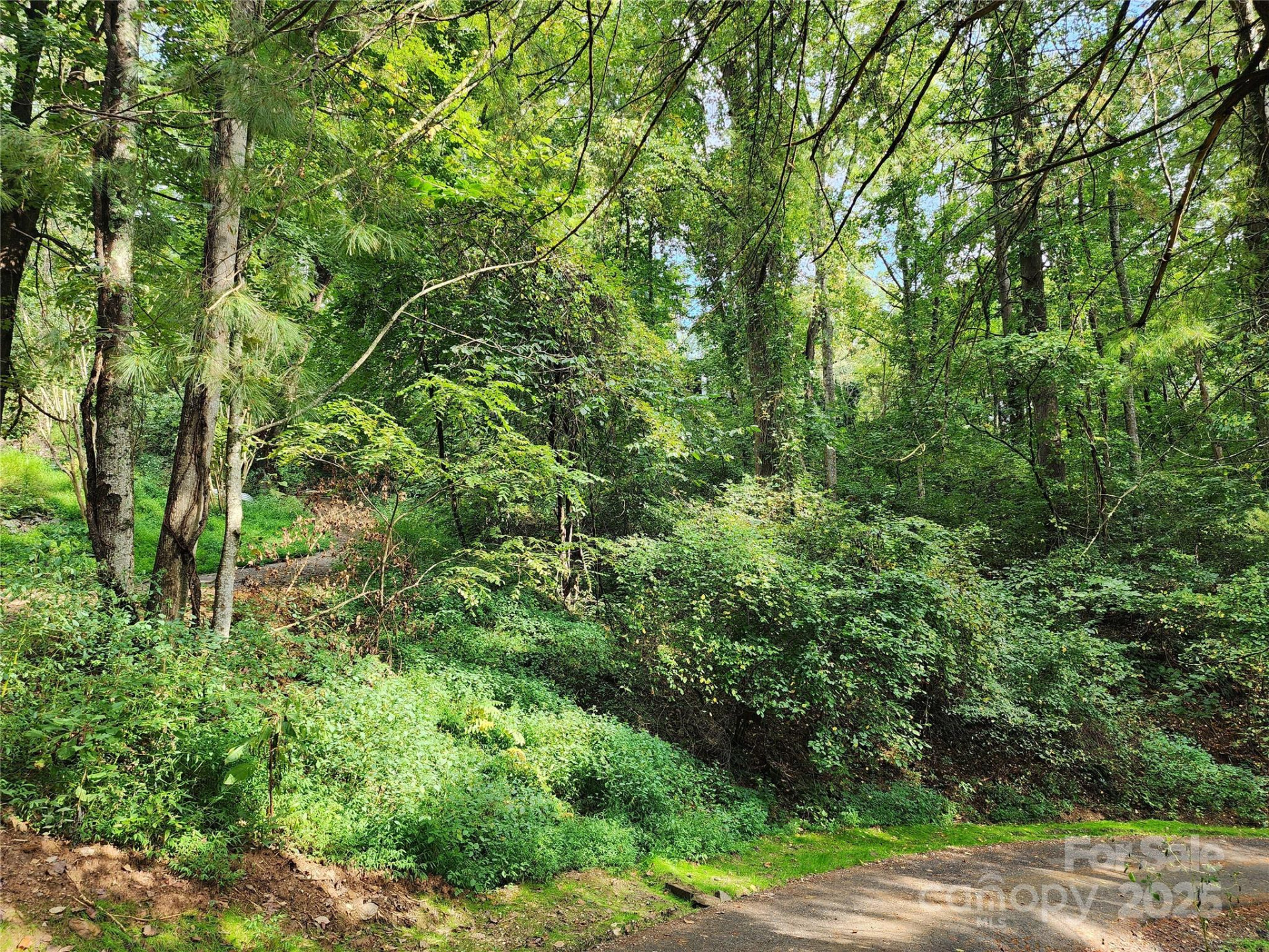 9999 Azalea Court #3,4,6 - Photo 8