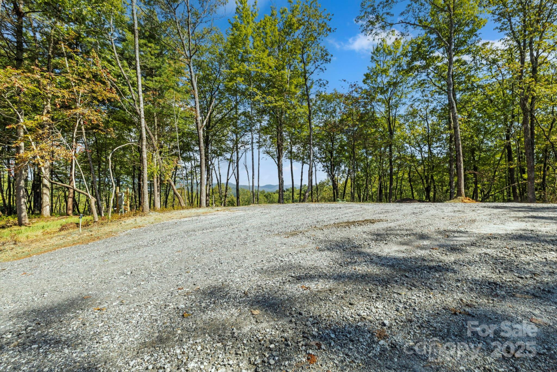 11763 Rosman Highway - Photo 11