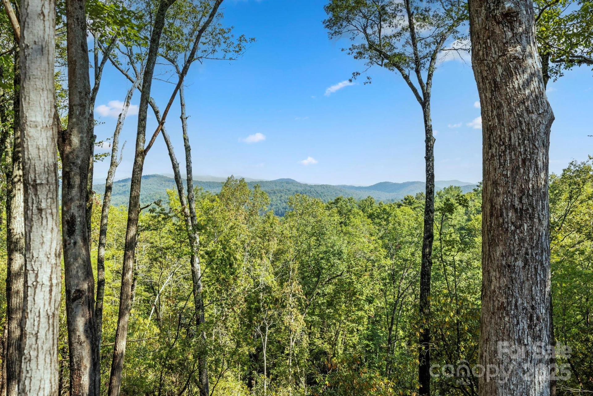 11763 Rosman Highway - Photo 12
