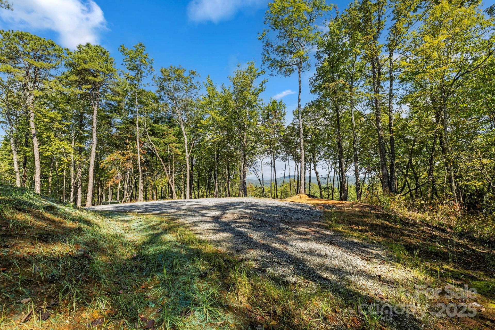 11763 Rosman Highway - Photo 13