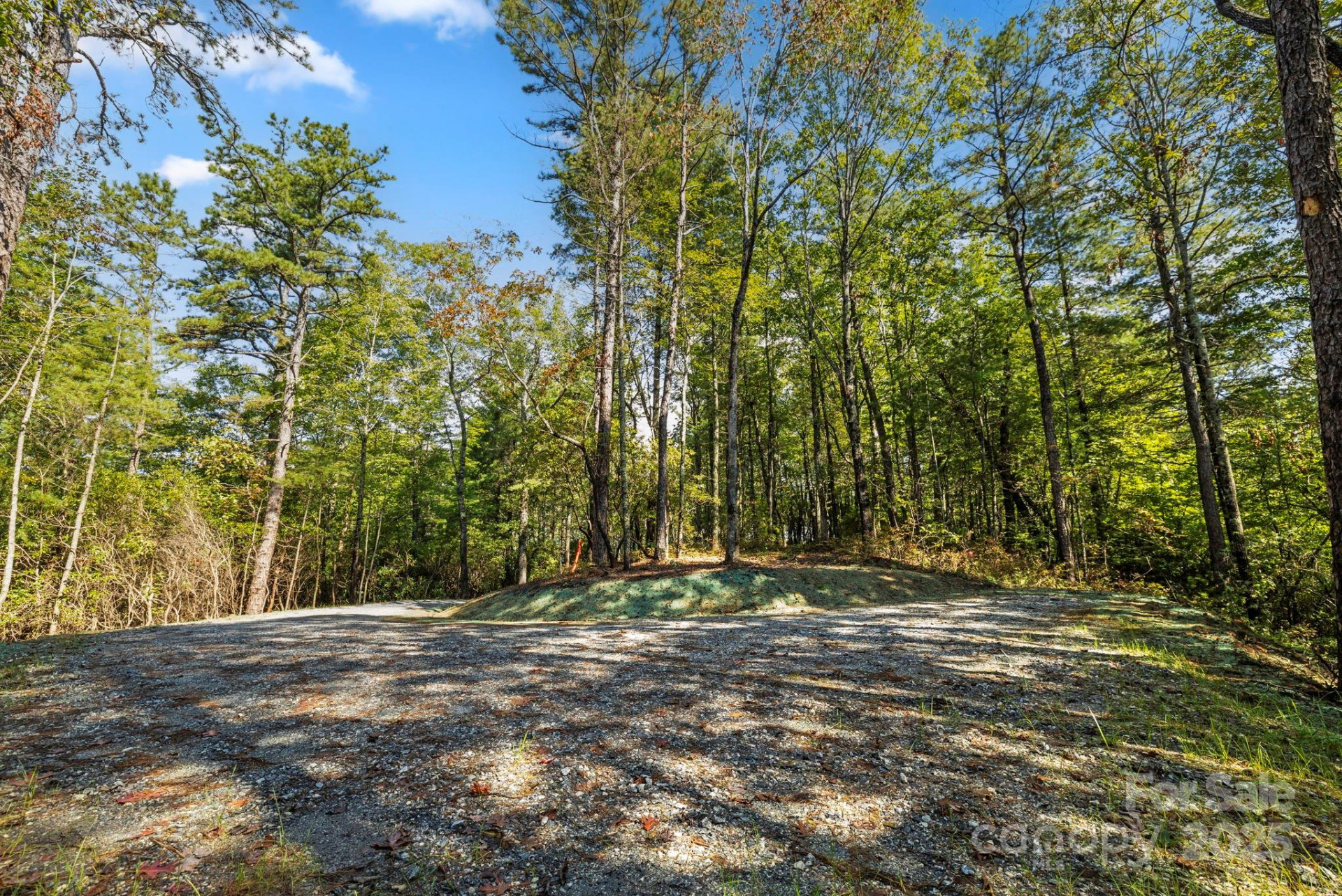 11763 Rosman Highway - Photo 17