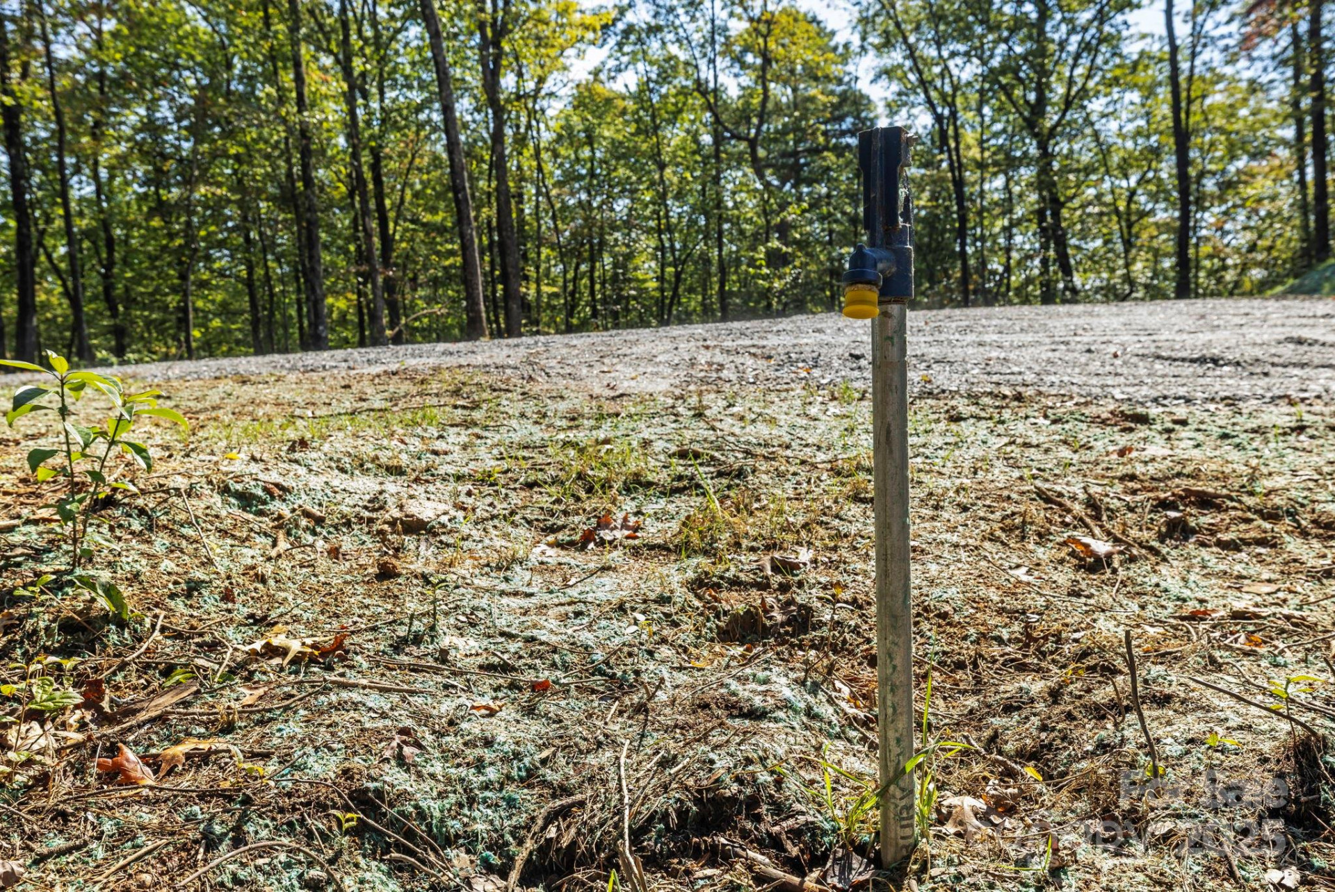 11763 Rosman Highway - Photo 18