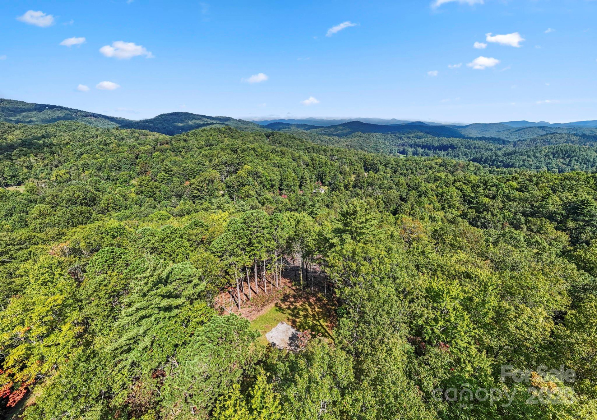 11763 Rosman Highway - Photo 24