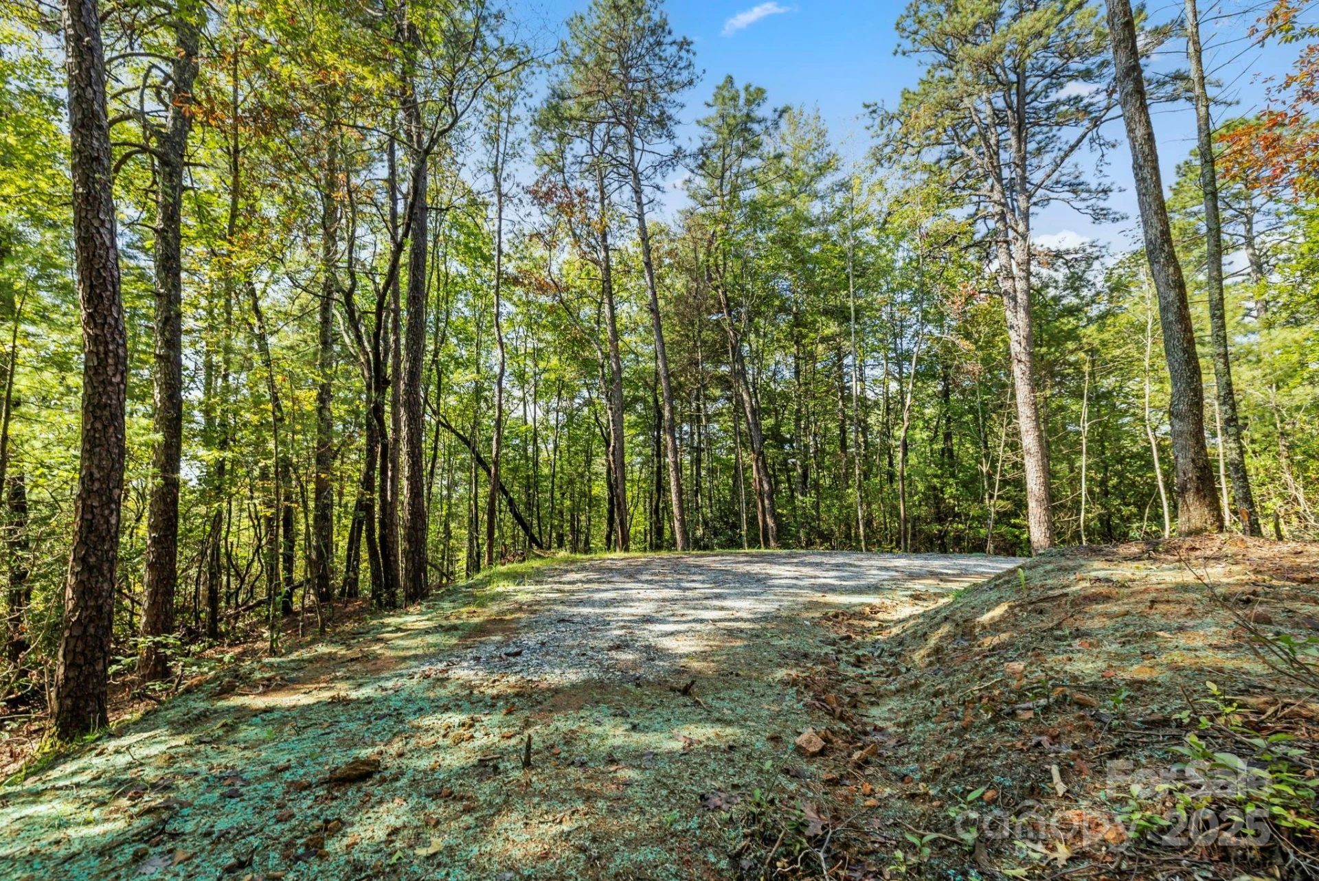 11763 Rosman Highway - Photo 26