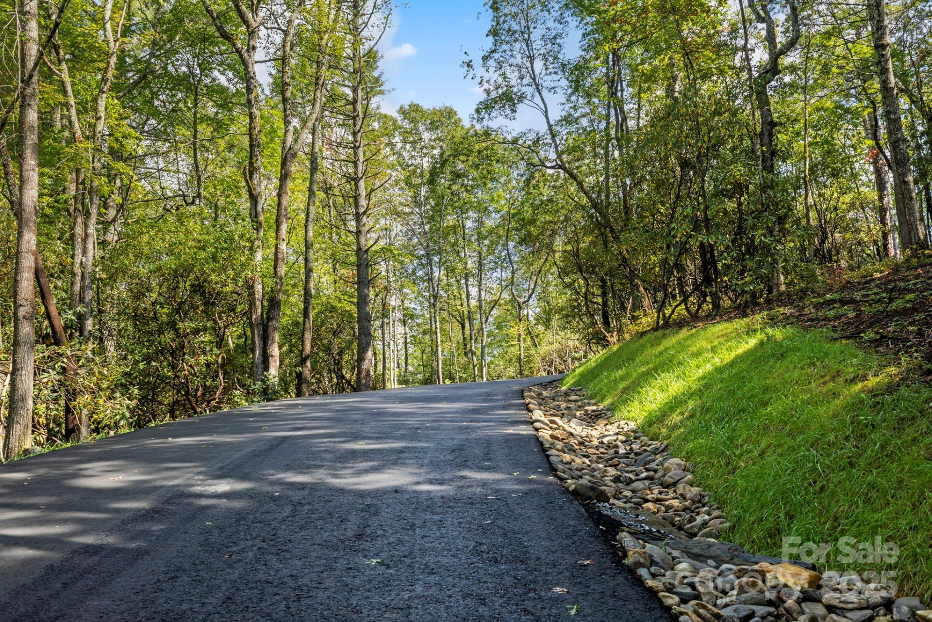 11763 Rosman Highway - Photo 29