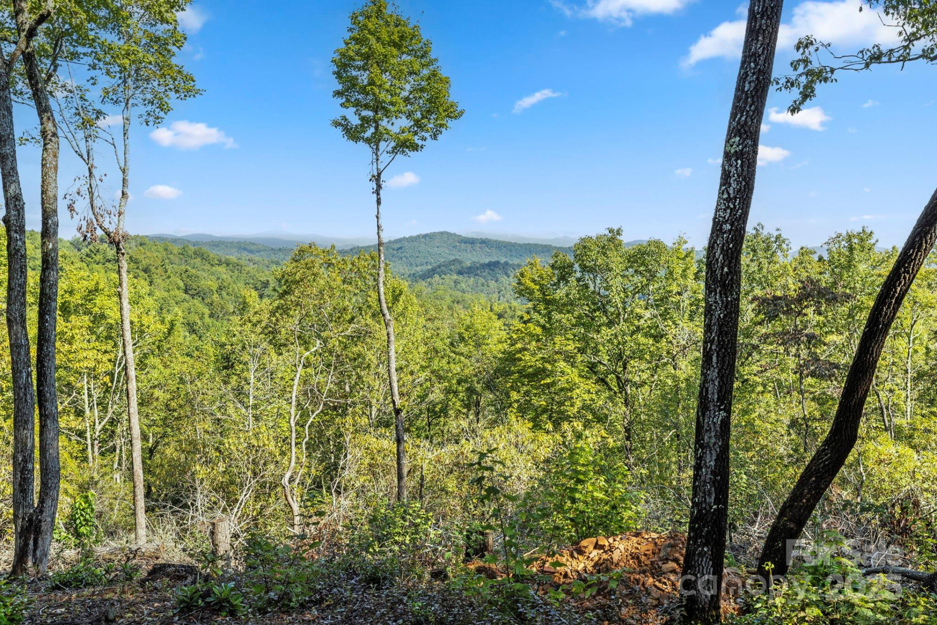 11763 Rosman Highway - Photo 5