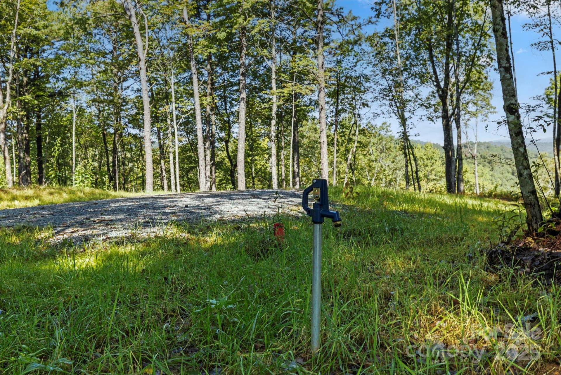 11763 Rosman Highway - Photo 6