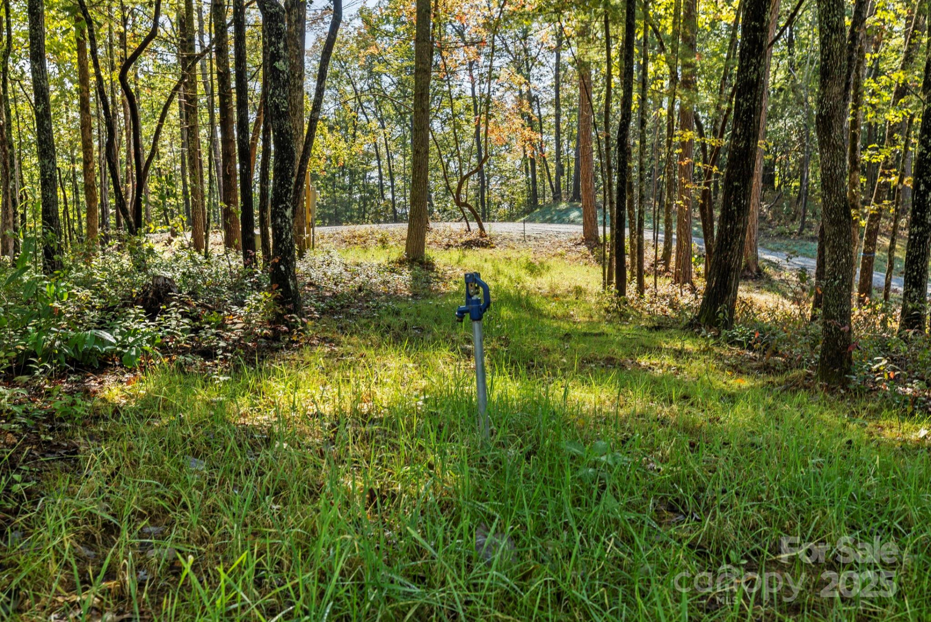 11763 Rosman Highway - Photo 9