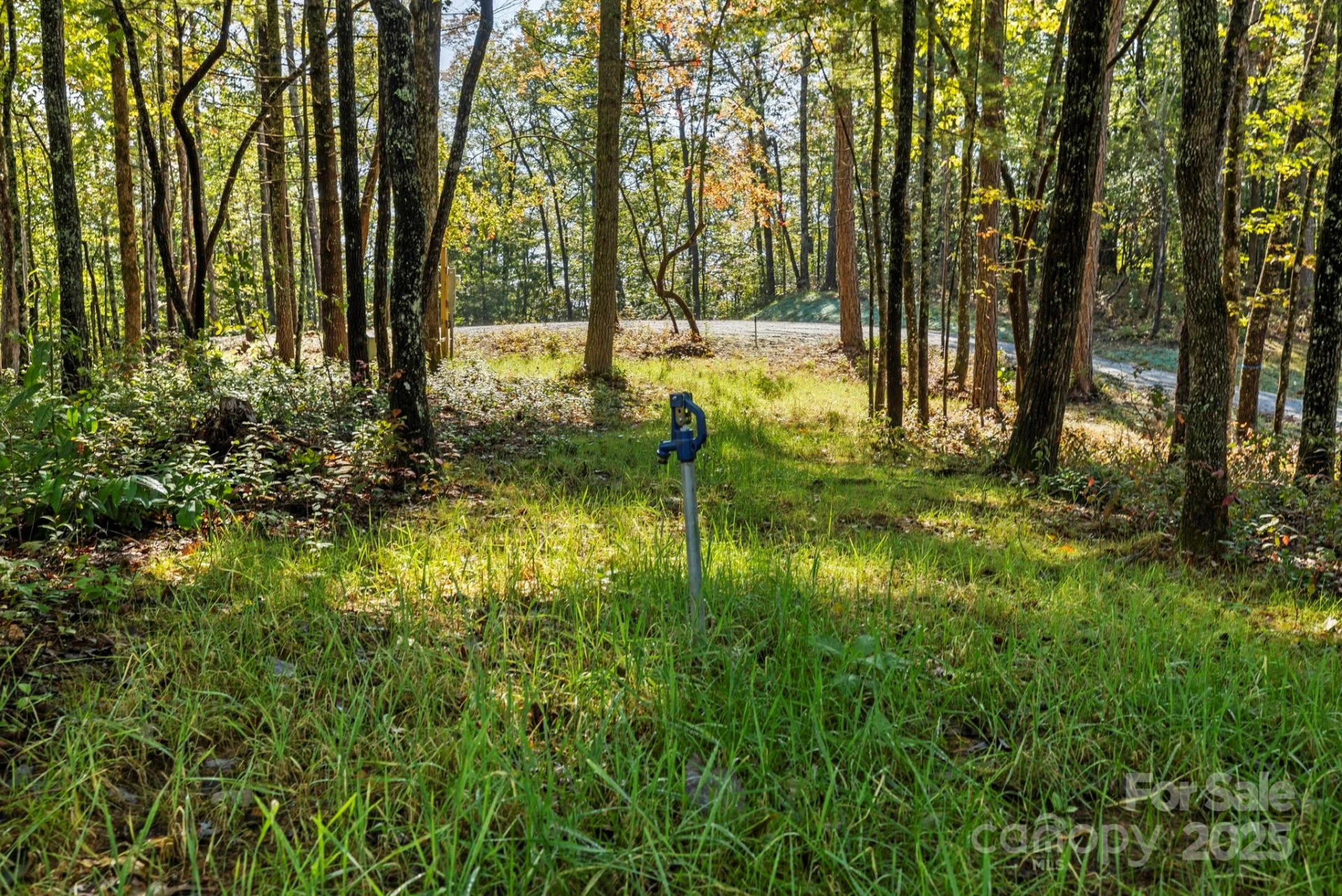 11763 Rosman Highway - Photo 9