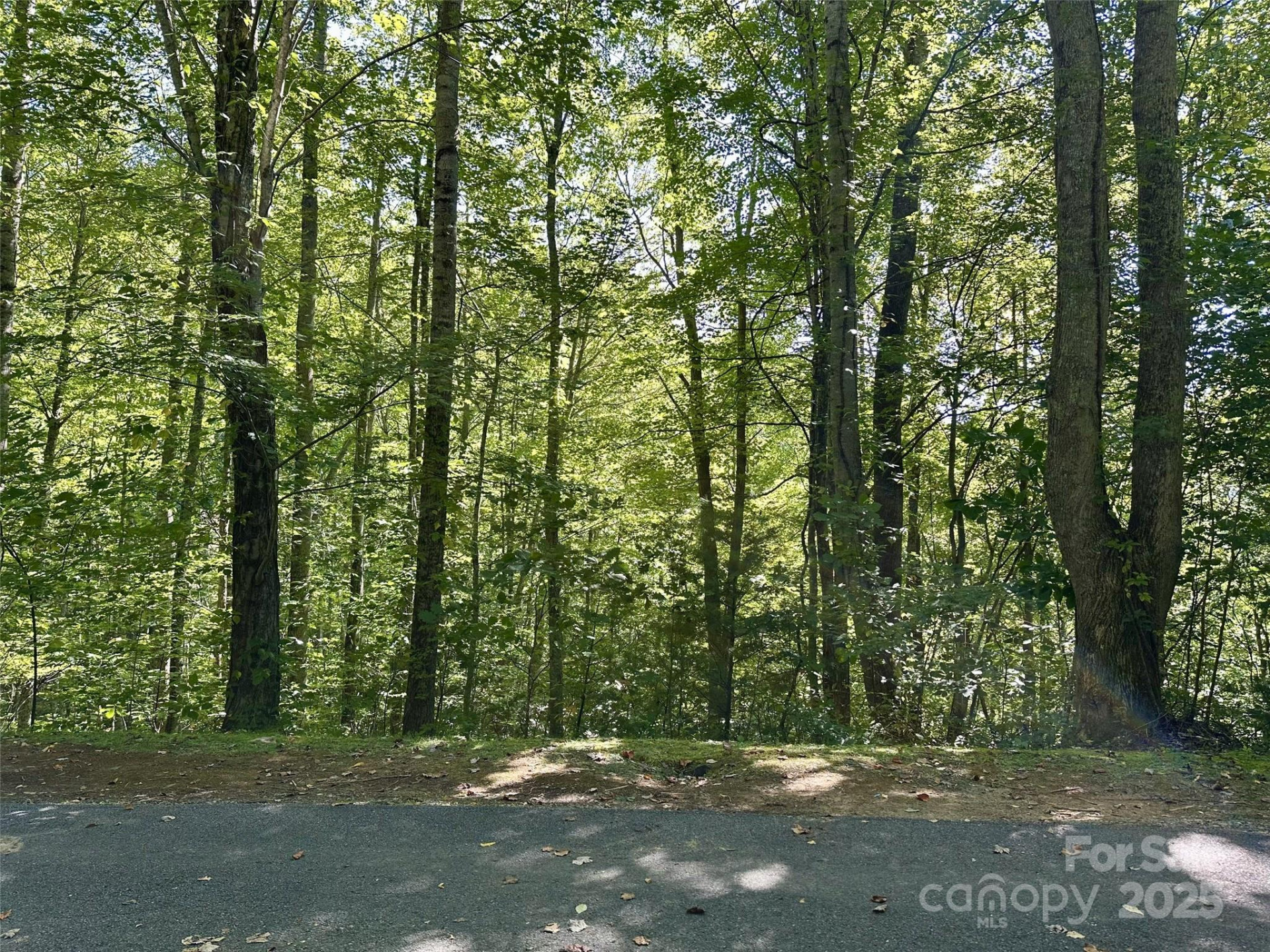 00 Loblolly Way #C11 - Photo 2