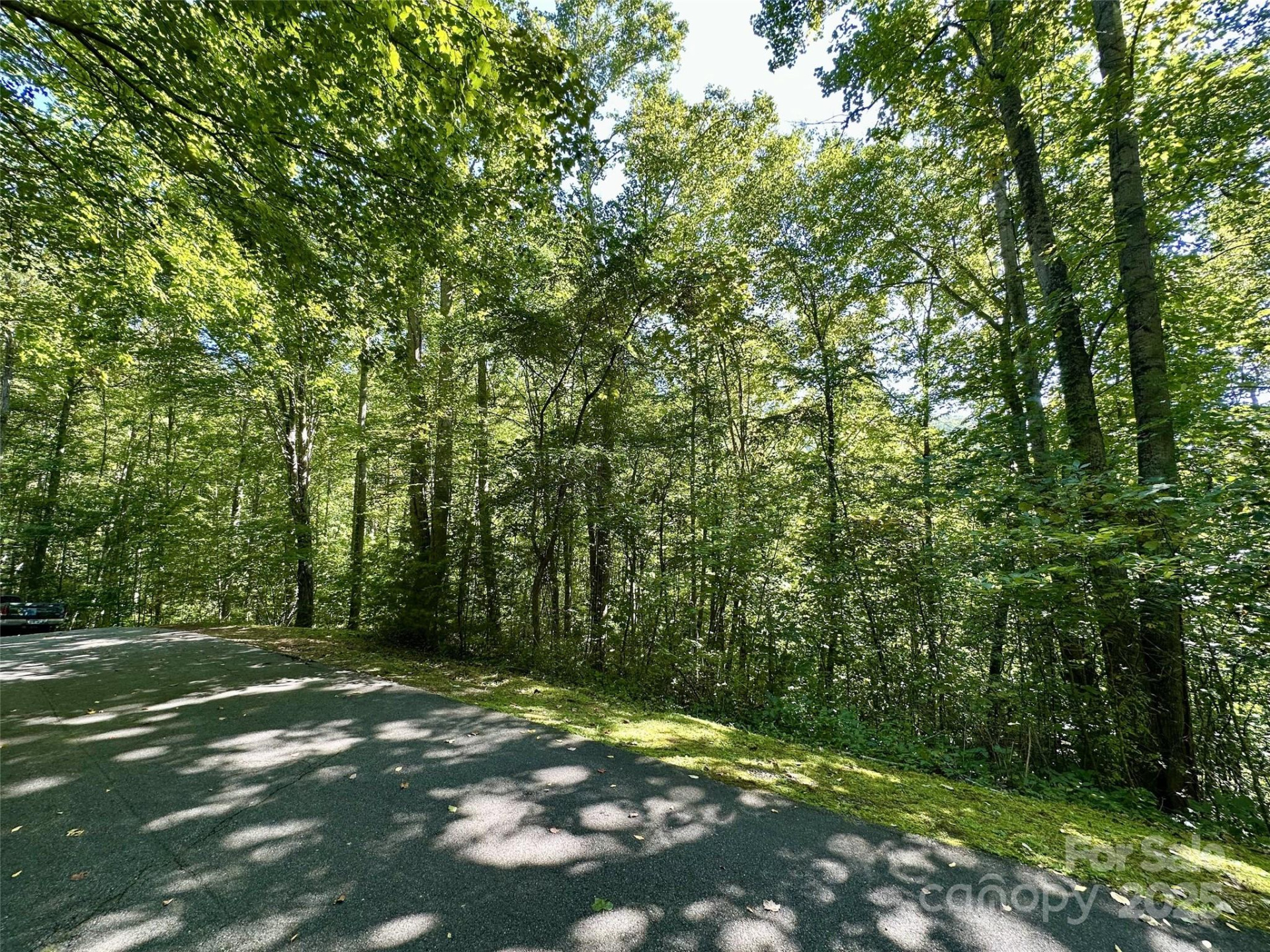 00 Loblolly Way #C11 - Photo 4