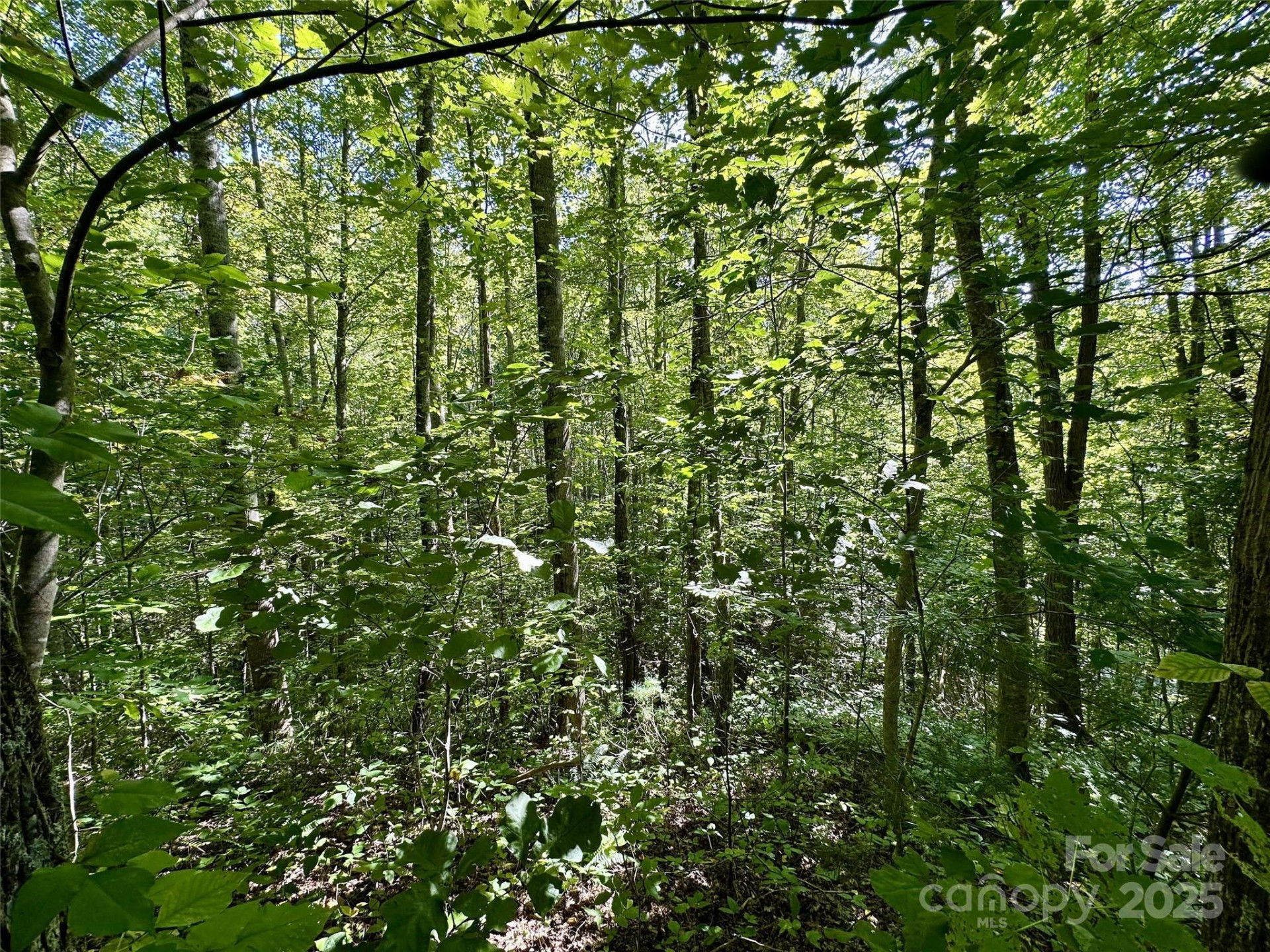 00 Loblolly Way #C11 - Photo 5