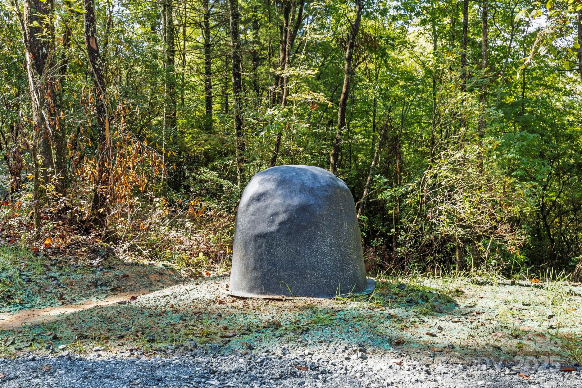 11763 Rosman Highway - Photo 15