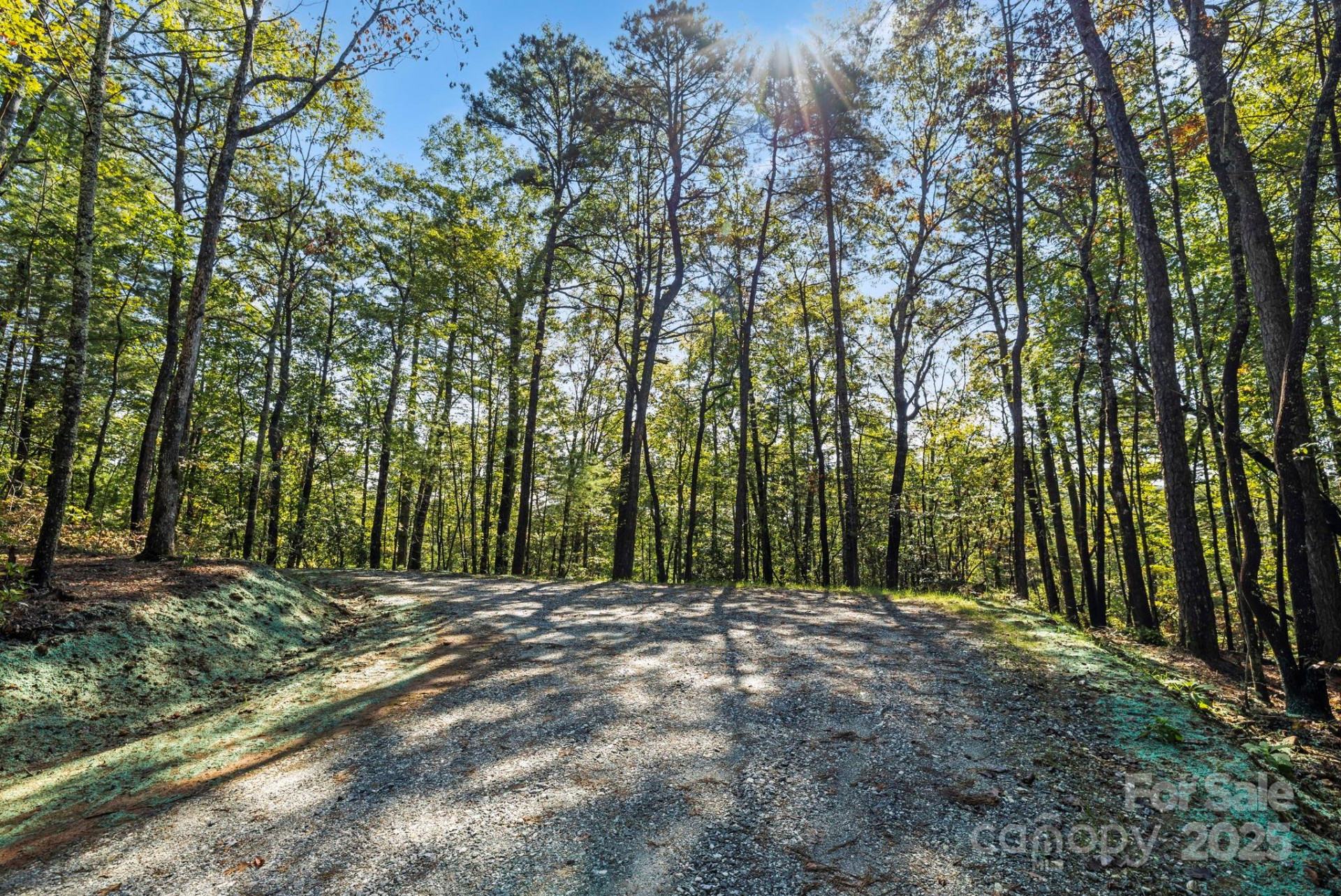 11763 Rosman Highway - Photo 16